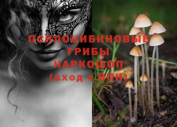 PSILOCYBIN Дмитровск